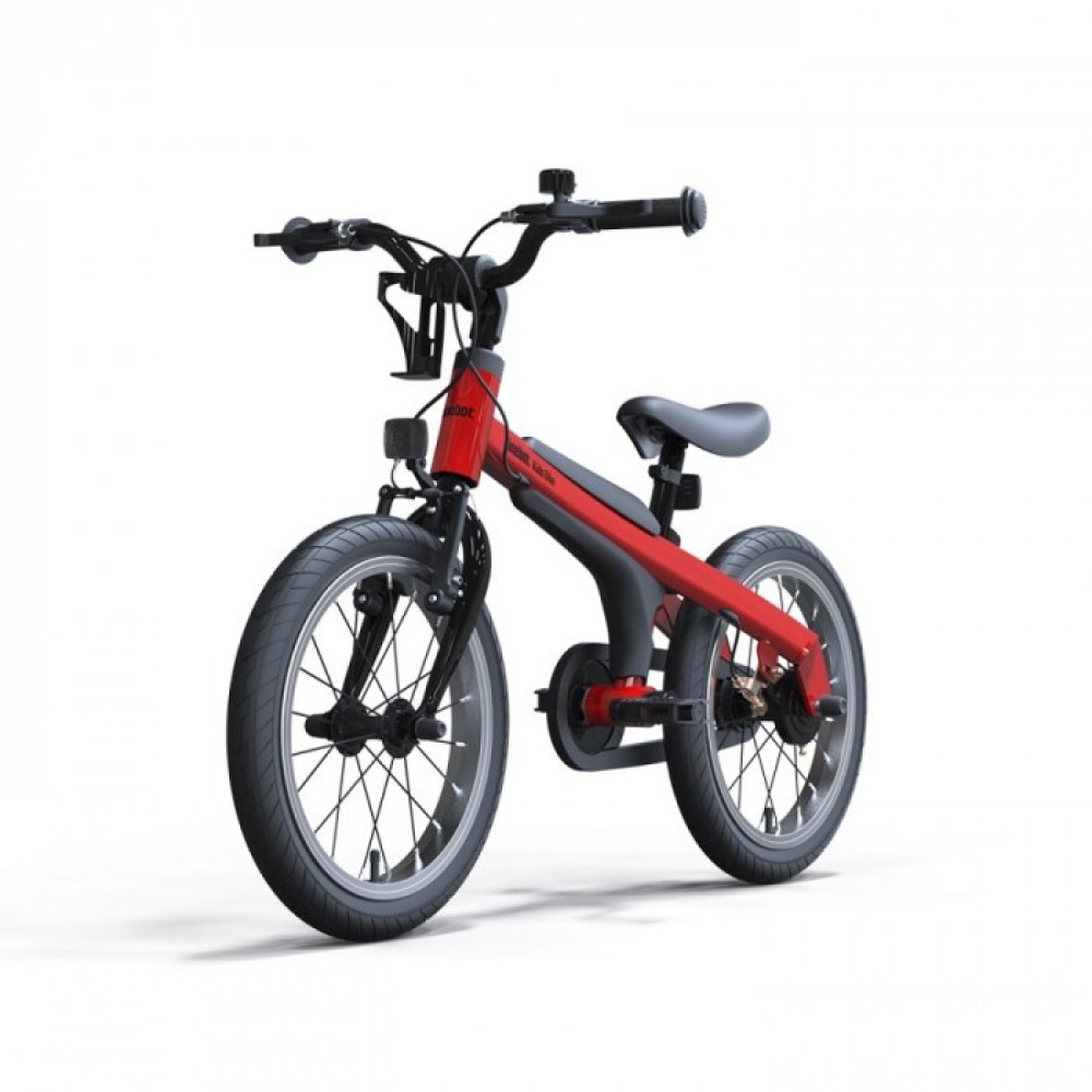 Велосипед Xiaomi Ninebot Kids Bike 16 (N1KB16)